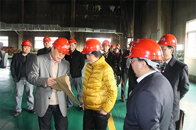 2012年1月31日，時任嘉興市委書記魯俊率領市發(fā)改委等市級部門負責人到公司調研